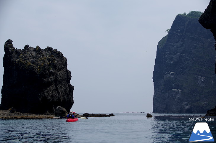 真夏の北海道・小樽塩谷 シーカヤックで目指せ『青の洞窟』！